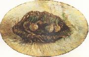 Vincent Van Gogh Basket of Sprouting Bulbs (nn04) Sweden oil painting reproduction